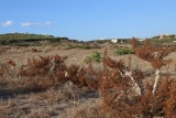 Kreta (7)